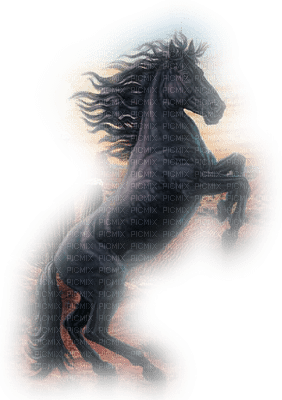 caballo by EstrellaCristal - besplatni png