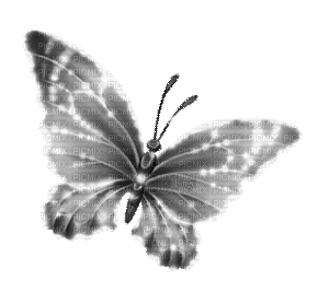 Y.A.M._Fantasy butterfly black-white - Бесплатный анимированный гифка