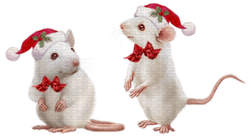 loly33 rat noël - PNG gratuit