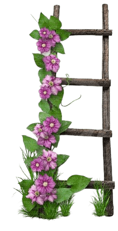 fleurs échelle - besplatni png