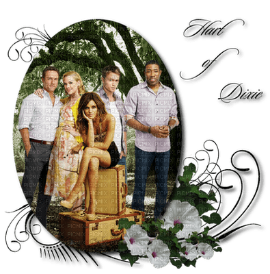 HART OF DIXIE - δωρεάν png