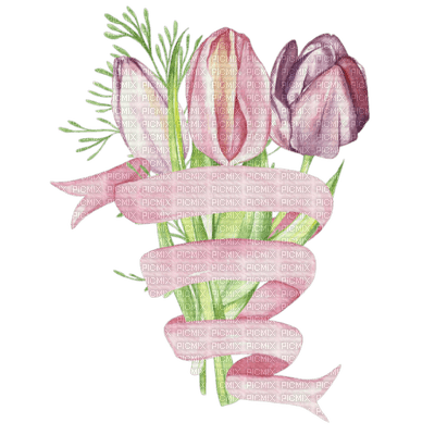 tulipe.Cheyenne63 - фрее пнг
