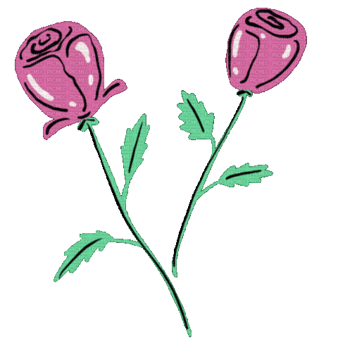Roses - Animovaný GIF zadarmo