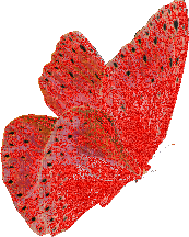 red butterfly - Безплатен анимиран GIF