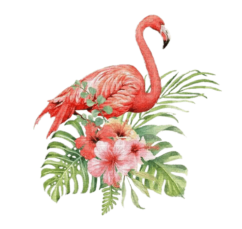 Flamingo, Blätter, Hibiskus - darmowe png