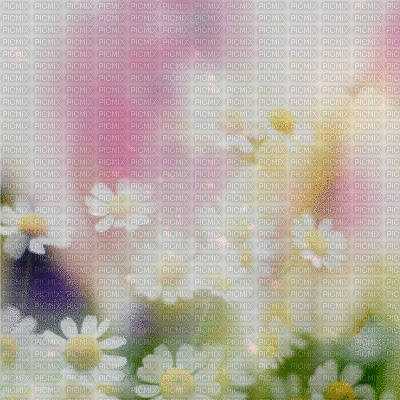 SPRING FLOWER BG gif  printemps fleur fond - Бесплатный анимированный гифка