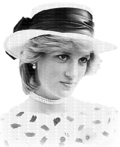 soave woman Lady Diana Spencer - png grátis