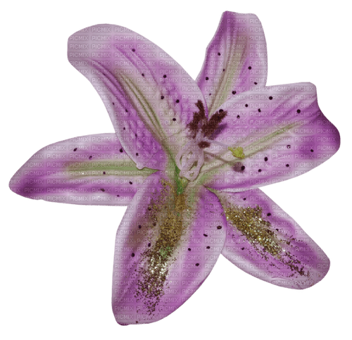 kikkapink deco scrap violet flower - png gratuito