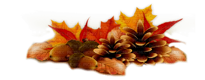 autumn deco by nataliplus - ilmainen png