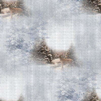 winter hiver paysage landscape forest snow neige fond background - Gratis geanimeerde GIF