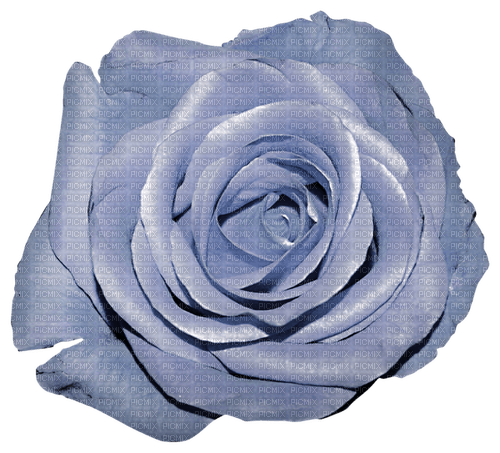 Fleur.Rose.blue.Flower.deco.Victoriabea - png ฟรี