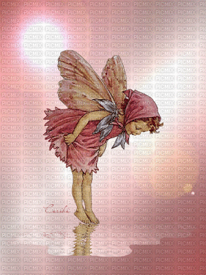 Fairy - Animovaný GIF zadarmo