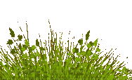 grass - Gratis animeret GIF