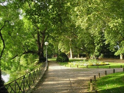 Parc vert Debutante nature - png gratis