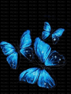 MMarcia gif borboleta    papillon azul blue  fundo - GIF เคลื่อนไหวฟรี