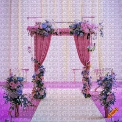 Wedding Arch - фрее пнг