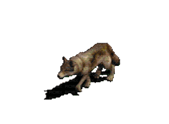 Wolf sneaking - Free animated GIF