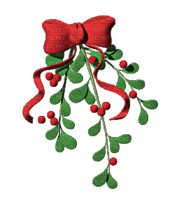 Animated.Mistletoe.Red.Green - Gratis geanimeerde GIF