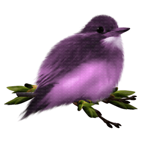 kikkapink purple bird deco - 無料png