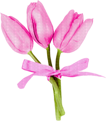 Tulips.Bow.Pink - 免费PNG