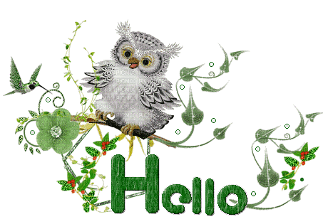 MMarcia gif glitter coruja hello - 無料のアニメーション GIF