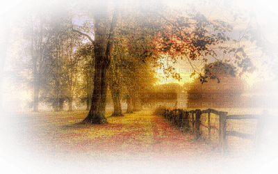 autumn landscape bp - zdarma png