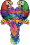 parrots glitter - Darmowy animowany GIF