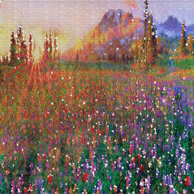 kikkapink background flowers spring field - Ilmainen animoitu GIF