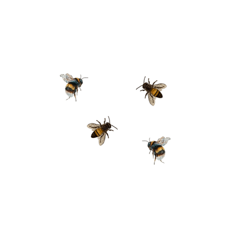 kikkapink deco scrap bees - PNG gratuit