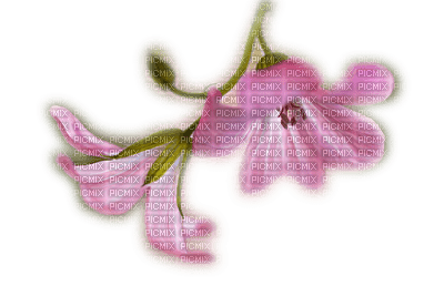 Kwiaty - PNG gratuit