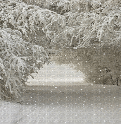 winter background - Animovaný GIF zadarmo