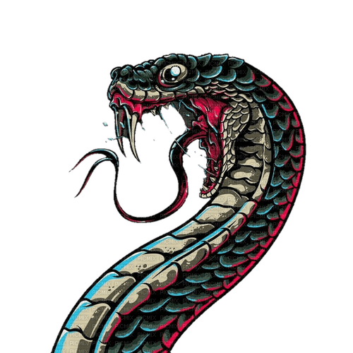 serpent - kostenlos png