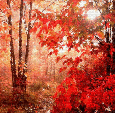 Autumn bg dm19 - 無料のアニメーション GIF