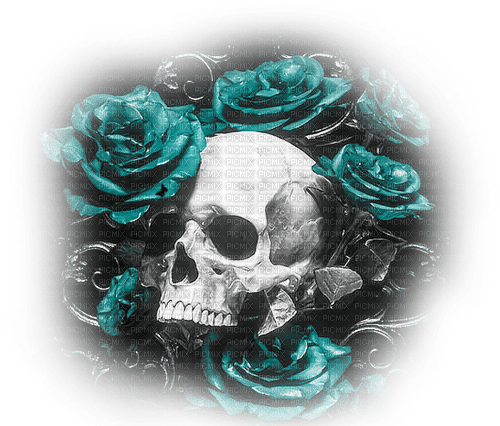soave deco gothic skull flowers rose background - PNG gratuit