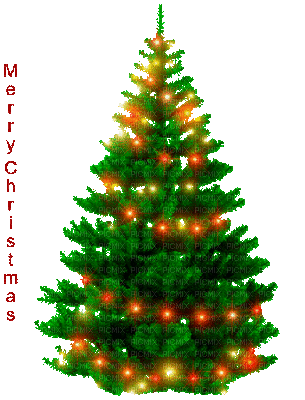 Christmas tree with lights, christmas , tree , with , lights - Free animated  GIF - PicMix