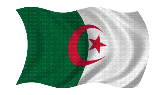 Drapeau Algérien - GIF animate gratis
