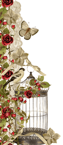 floral flower border bird butterfly - 無料png