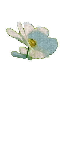 Цветок - Безплатен анимиран GIF