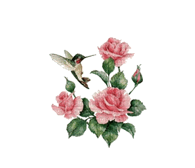 bon anniversaire rose - Δωρεάν κινούμενο GIF