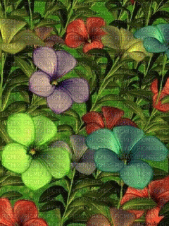 image encre animé effet fleurs - Ingyenes animált GIF