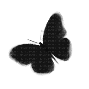 butterfly - png gratis
