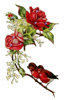 flowers anastasia - Gratis animeret GIF