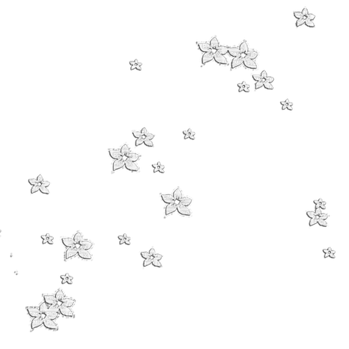 Flowers Deco - PNG gratuit