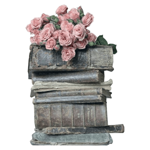 kikkapink deco scrap vintage books - bezmaksas png