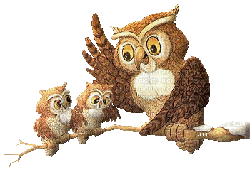 owl bp - GIF animado gratis