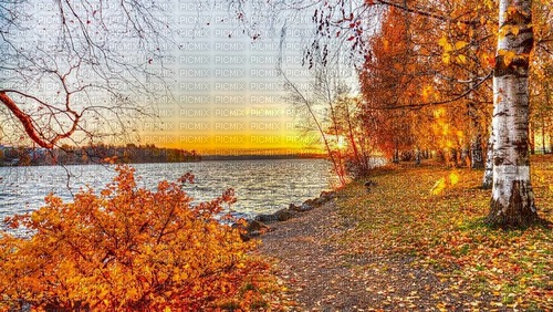 autumn lake - 免费PNG