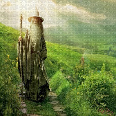 WIZZARD GANDALF LORD OF THE RINGS - 無料png