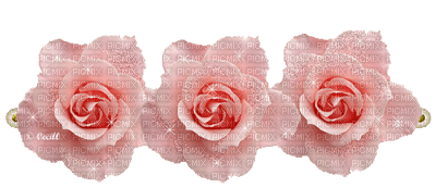 rosadas - PNG gratuit