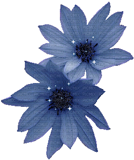 Kaz_Creations Deco Flowers Flower Animated Colours - GIF animado grátis