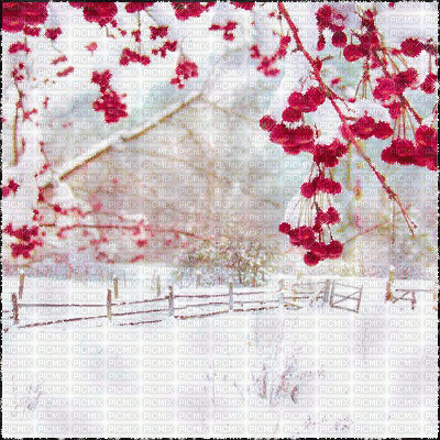 Winter. Background. Gif. Leila - Darmowy animowany GIF